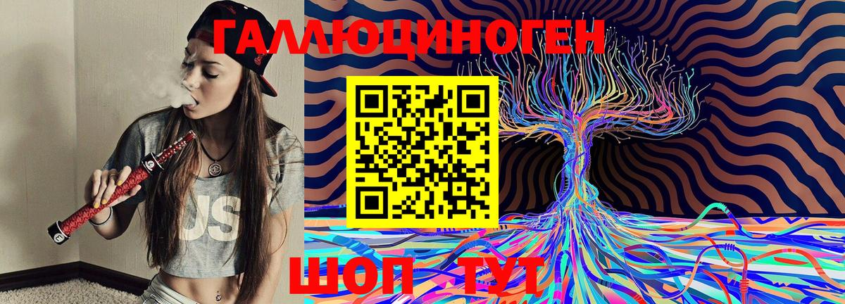 Псилоцибиновые грибы Cubensis  Вход с VPN  Кисловодск 
