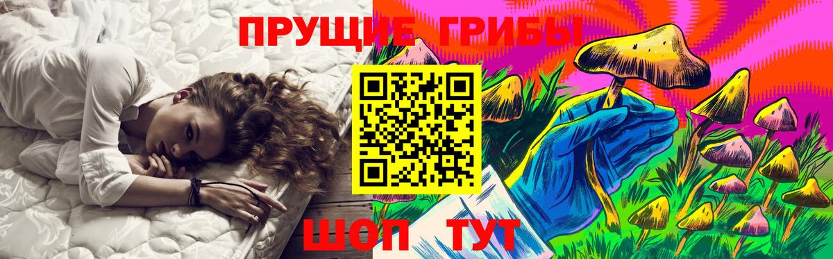 Псилоцибиновые грибы Cubensis Кисловодск